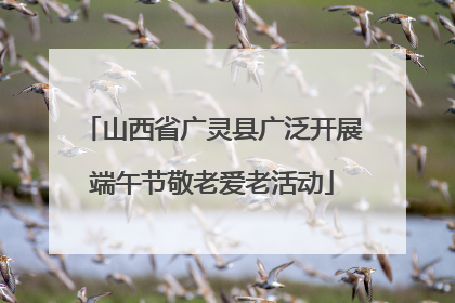 山西省广灵县广泛开展端午节敬老爱老活动