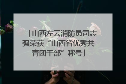 山西左云消防员司志强荣获“山西省优秀共青团干部”称号