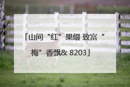 山间“红”果缀 致富“梅”香飘& 8203