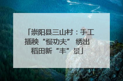 崇阳县三山村：手工插秧“慢功夫” 绣出稻田新“丰”景