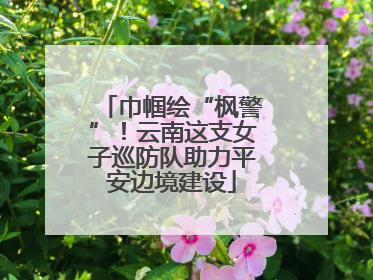 巾帼绘“枫警”！云南这支女子巡防队助力平安边境建设