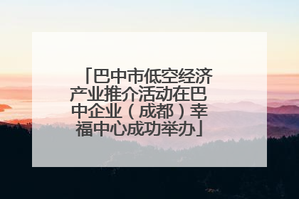 巴中市低空经济产业推介活动在巴中企业（成都）幸福中心成功举办