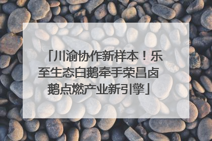 川渝协作新样本！乐至生态白鹅牵手荣昌卤鹅点燃产业新引擎
