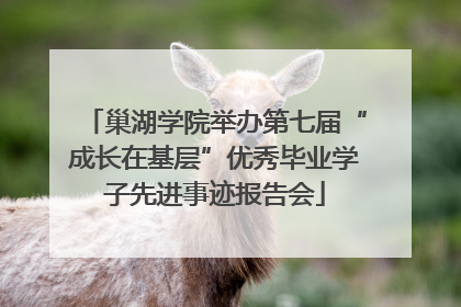 巢湖学院举办第七届“成长在基层”优秀毕业学子先进事迹报告会