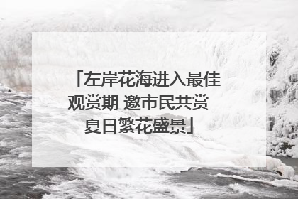 左岸花海进入最佳观赏期 邀市民共赏夏日繁花盛景