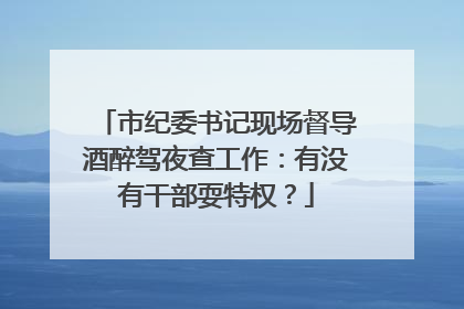 市纪委书记现场督导酒醉驾夜查工作：有没有干部耍特权？