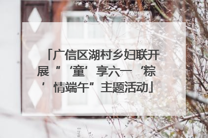 广信区湖村乡妇联开展“‘童’享六一‘粽’情端午”主题活动