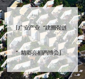 广安产业“建圈强链”精彩亮相西博会