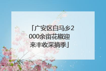 广安区白马乡2000余亩花椒迎来丰收采摘季