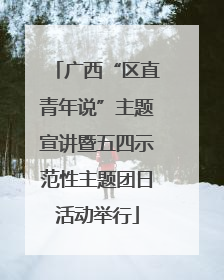 广西“区直青年说”主题宣讲暨五四示范性主题团日活动举行