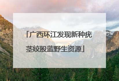 广西环江发现新种疣茎绞股蓝野生资源