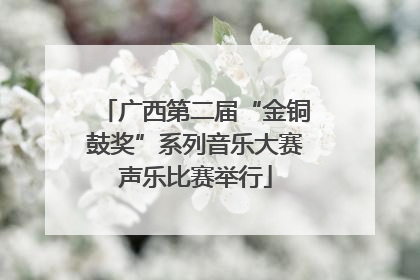 广西第二届“金铜鼓奖”系列音乐大赛声乐比赛举行