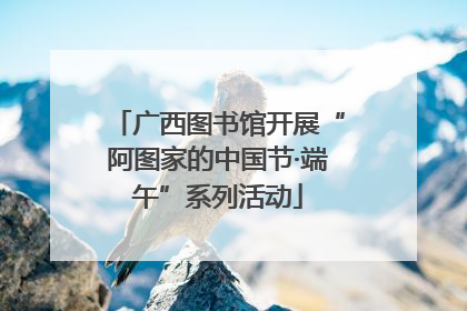 广西图书馆开展“阿图家的中国节·端午”系列活动