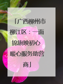 广西柳州市柳江区：一面锦旗映初心 暖心服务助营商