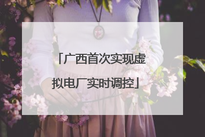 广西首次实现虚拟电厂实时调控