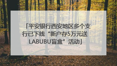 平安银行西安地区多个支行已下线“新户存5万元送LABUBU盲盒”活动