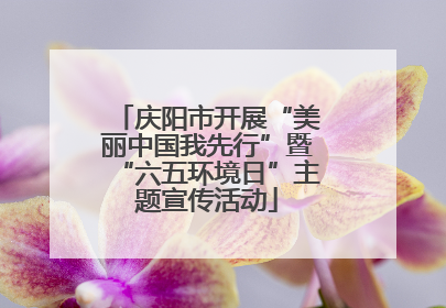 庆阳市开展“美丽中国我先行”暨“六五环境日”主题宣传活动