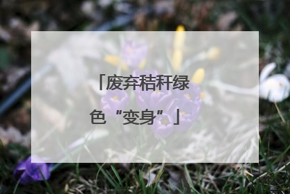 废弃秸秆绿色“变身”