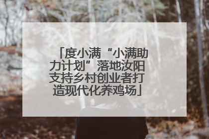 度小满“小满助力计划”落地汝阳支持乡村创业者打造现代化养鸡场