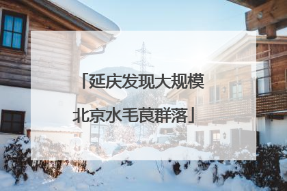 延庆发现大规模北京水毛茛群落
