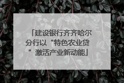 建设银行齐齐哈尔分行以“特色农业贷”激活产业新动能