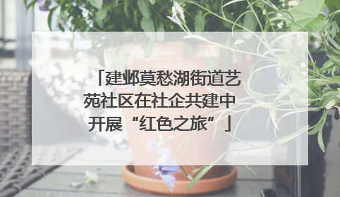 建邺莫愁湖街道艺苑社区在社企共建中开展“红色之旅”