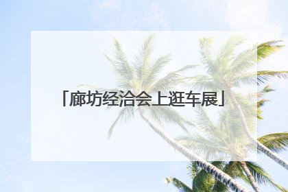 廊坊经洽会上逛车展
