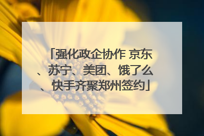 强化政企协作 京东、苏宁、美团、饿了么、快手齐聚郑州签约