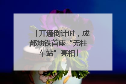 开通倒计时，成都地铁首座“无柱车站”亮相