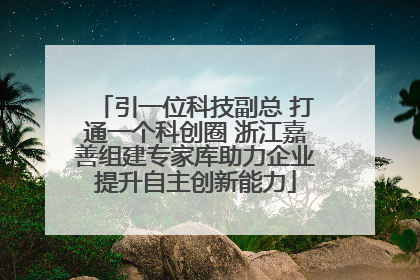 引一位科技副总 打通一个科创圈 浙江嘉善组建专家库助力企业提升自主创新能力