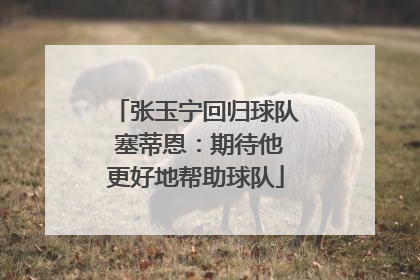 张玉宁回归球队 塞蒂恩：期待他更好地帮助球队