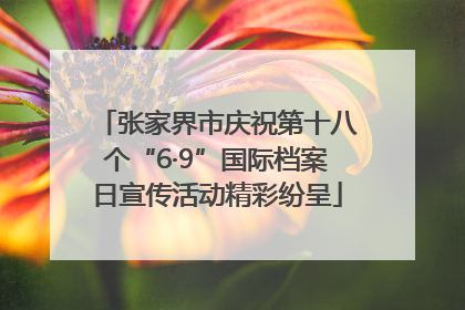 张家界市庆祝第十八个“6·9”国际档案日宣传活动精彩纷呈