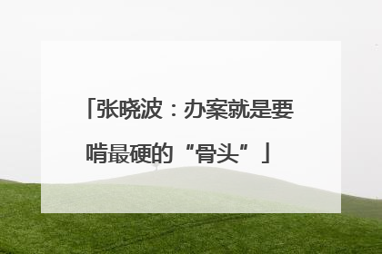 张晓波：办案就是要啃最硬的“骨头”