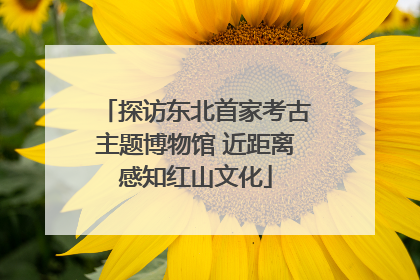 探访东北首家考古主题博物馆 近距离感知红山文化