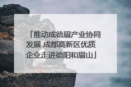 推动成德眉产业协同发展 成都高新区优质企业走进德阳和眉山