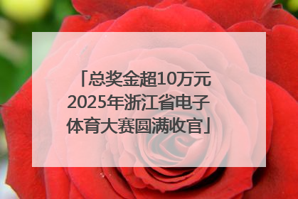 总奖金超10万元 2025年浙江省电子体育大赛圆满收官