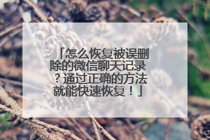怎么恢复被误删除的微信聊天记录？通过正确的方法就能快速恢复！
