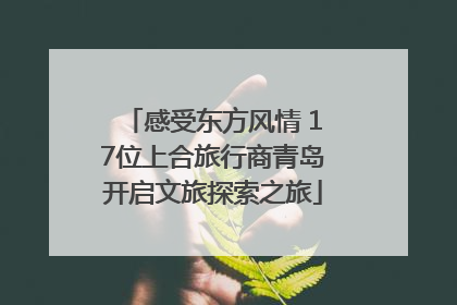 感受东方风情 17位上合旅行商青岛开启文旅探索之旅