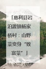 慈利县岩泊渡镇杨家桥村：山野菜变身“致富菜”