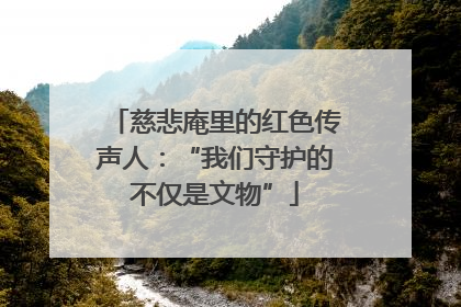 慈悲庵里的红色传声人：“我们守护的不仅是文物”