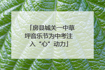 房县城关一中草坪音乐节为中考注入“心”动力