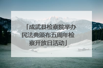 成武县检察院举办民法典颁布五周年检察开放日活动