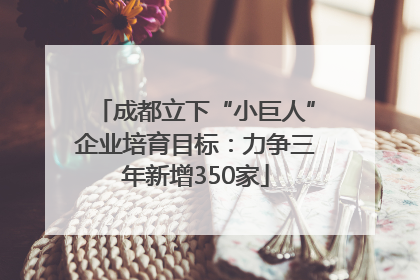 成都立下“小巨人”企业培育目标：力争三年新增350家
