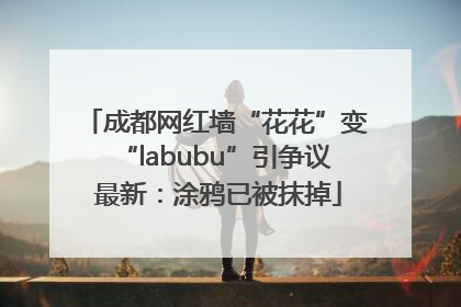 成都网红墙“花花”变“labubu”引争议 最新：涂鸦已被抹掉
