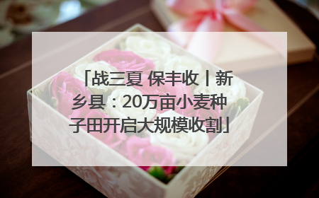 战三夏 保丰收丨新乡县：20万亩小麦种子田开启大规模收割