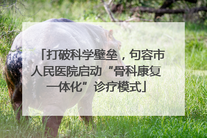 打破科学壁垒，句容市人民医院启动“骨科康复一体化”诊疗模式