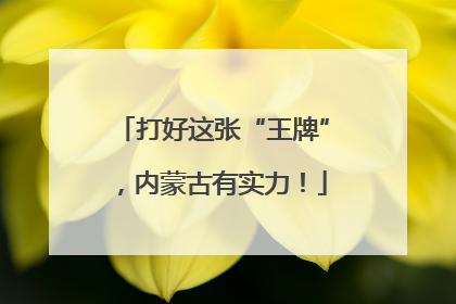 打好这张“王牌”，内蒙古有实力！
