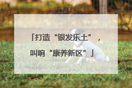 打造“银发乐土”，叫响“康养新区”