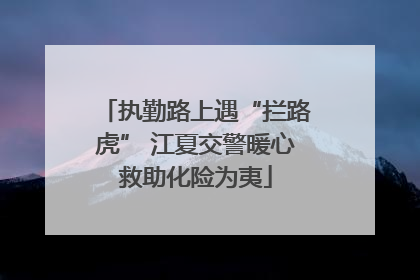 执勤路上遇“拦路虎” 江夏交警暖心救助化险为夷