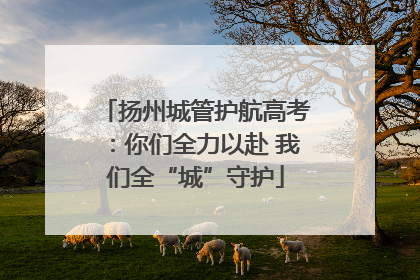 扬州城管护航高考：你们全力以赴 我们全“城”守护
